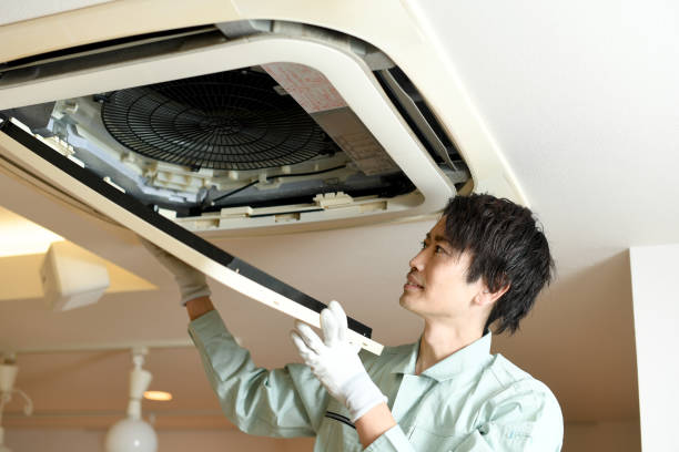 Best Affordable Air Duct Cleaning  in Nettleton, MS